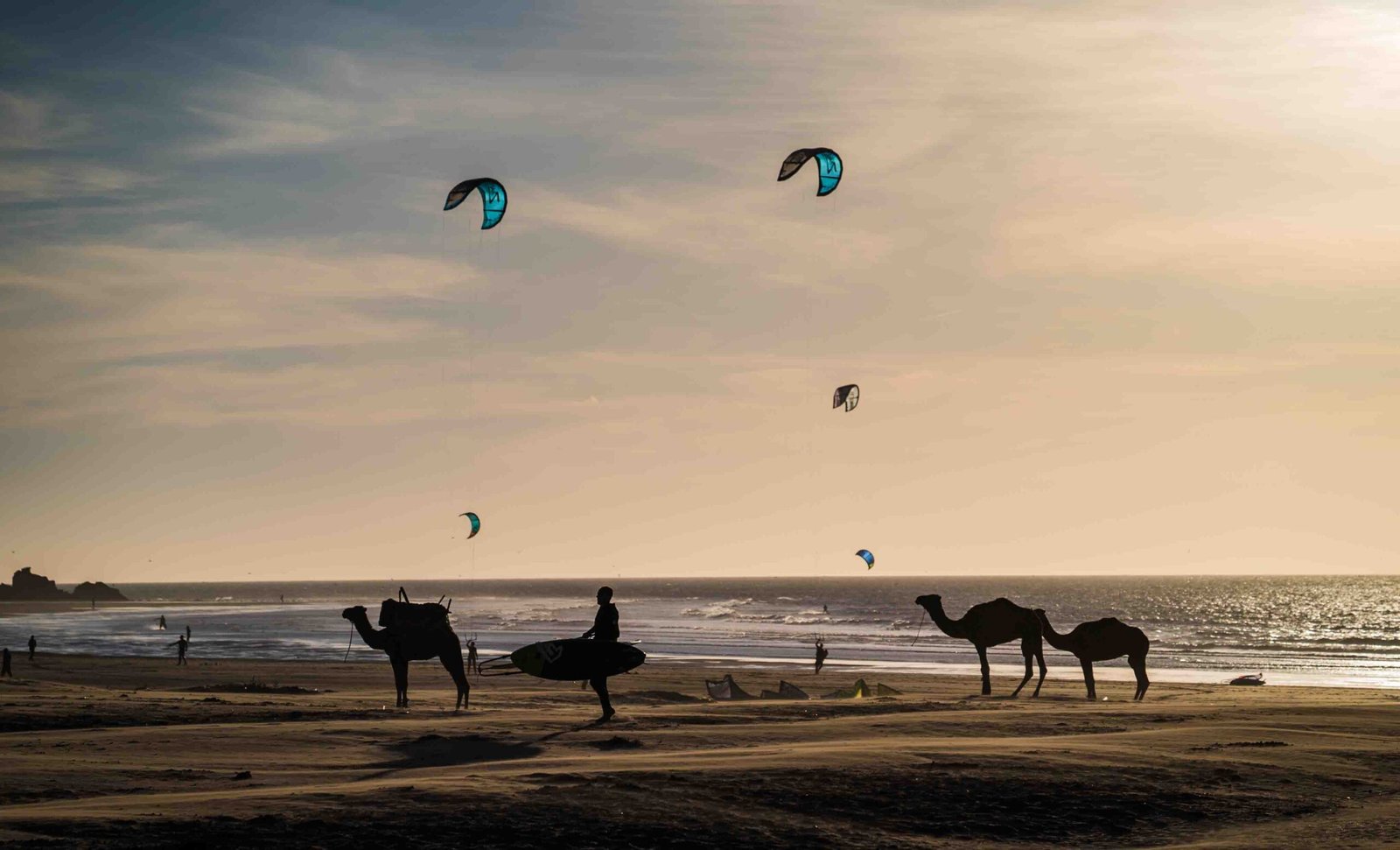 FULL DAY TRIP TO ESSAOUIRA BEACH FROM MARRAKECH